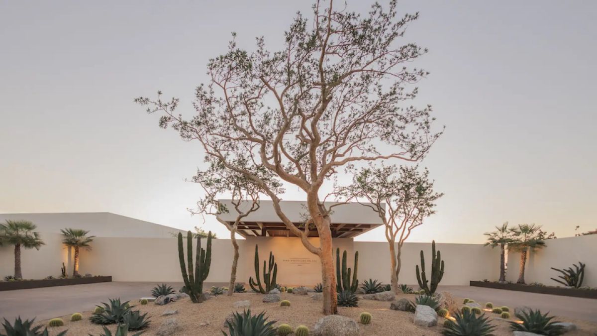 park hyatt cabo del sol